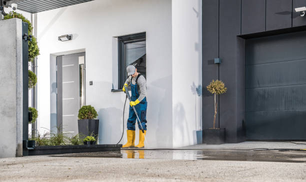 Best Roof Washing  in Buchanan, NY